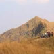 Savana Sembalun